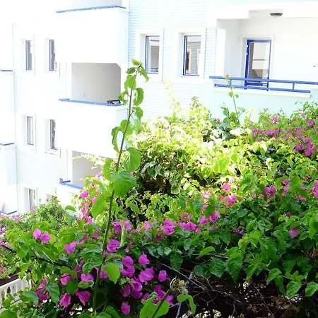 Sunpoint Bodrum 3* 居姆贝特