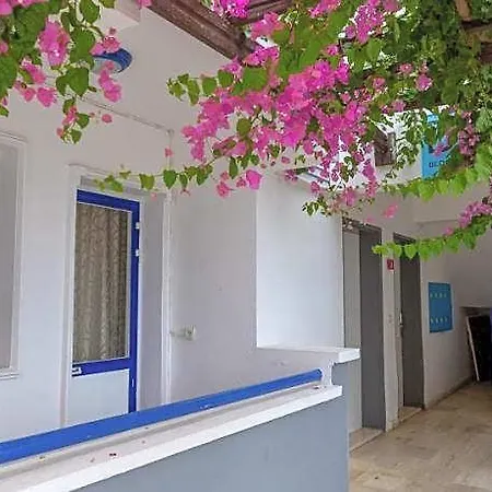 Sunpoint Bodrum 3* 검벳