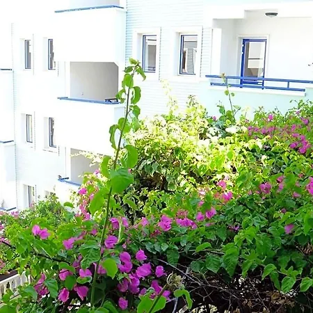 호텔 Sunpoint Bodrum 3*